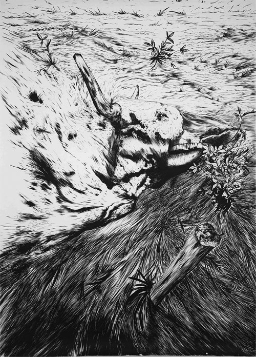 drawings by Artist Leyva Omero