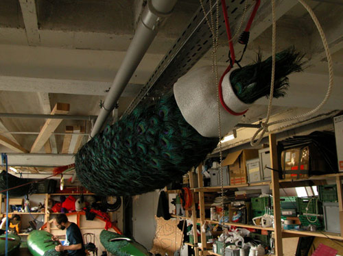 peacock feather installations by Artist Alexandre Joly