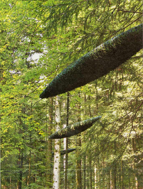 peacock feather installations by Artist Alexandre Joly