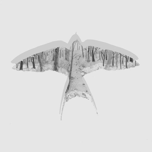 drawings by Artist Jake Pauls