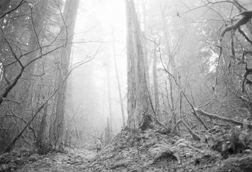 Photographer Kevin Gutierrez Haugen photography