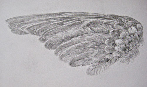 Drawings by artist Ki Yoong