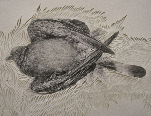 Drawings by artist Ki Yoong