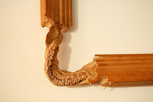 Sculptures by artist Maskull Lasserre