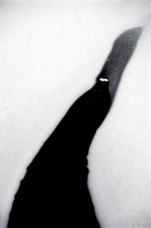 Photographer Michal Ronnen Safdie photography