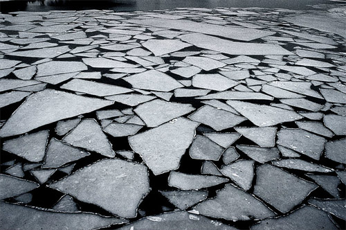 Photographer Michal Ronnen Safdie photography