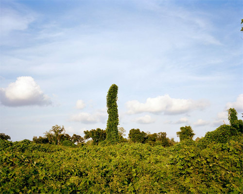 photographer photography Stacy Arezou Mehrfar