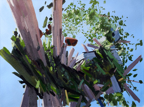 Artist painter Ben Grasso paintings