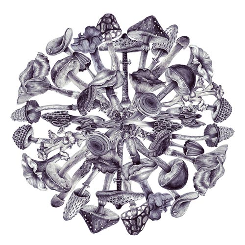 Drawings by artist Eibatova Karina