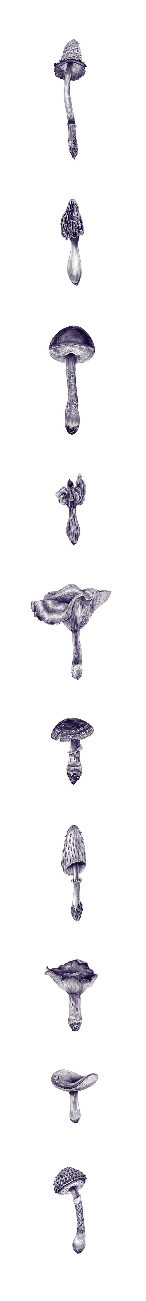 Drawings by artist Eibatova Karina