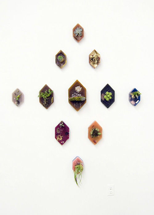 Artist Heidi Norton