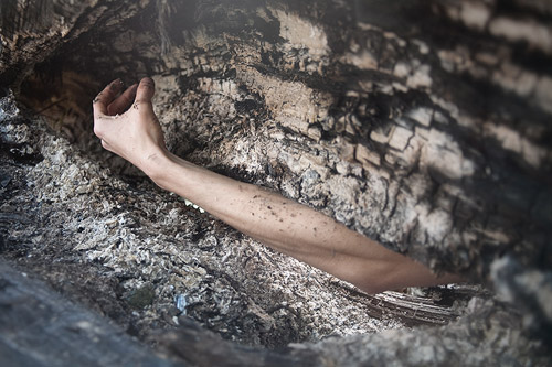 Photographer Nikita Pirogov photography