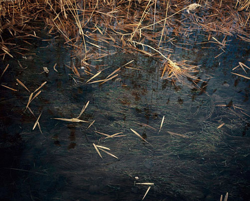 Photographer You Li photography