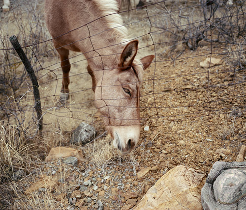 Photographer J Alex Goss