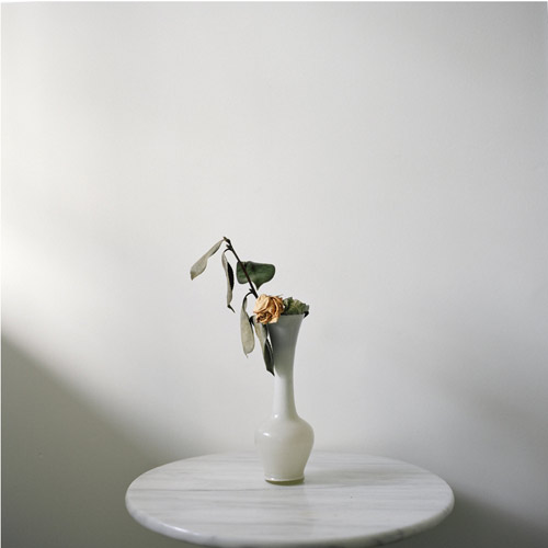 52 bunches of flowers i bought myself by photographer Julia Schauenburg