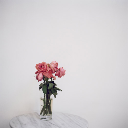 52 bunches of flowers i bought myself by photographer Julia Schauenburg