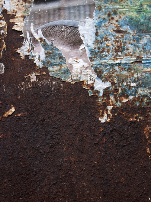 Artist photographer Thom van Rijckevorsel