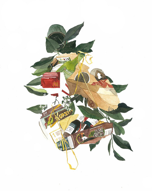 Drawings by artist Cari Vander Yacht
