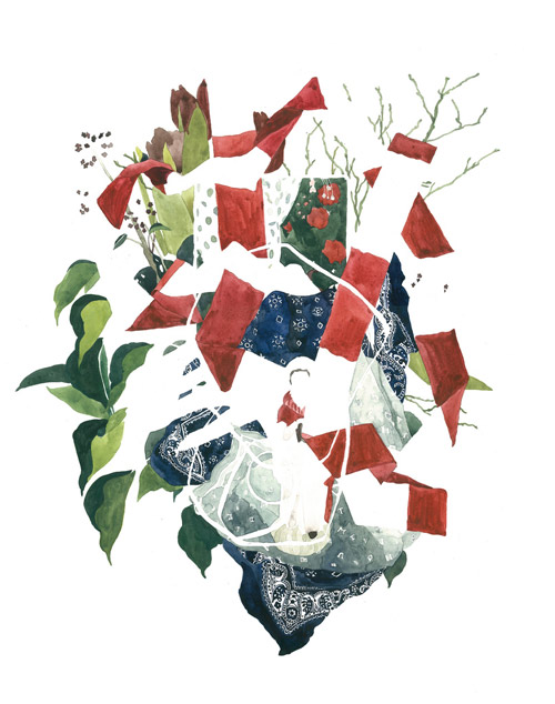 Drawings by artist Cari Vander Yacht