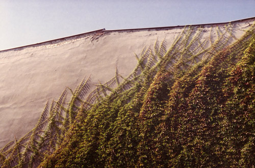 Photographer Genevieve Bjargardottir