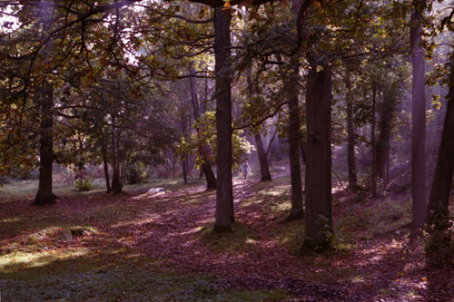 Photographer Genevieve Bjargardottir