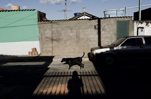 Photographer Gustavo Minas photography