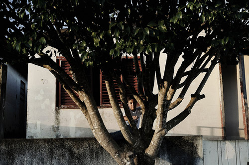 Photographer Gustavo Minas photography