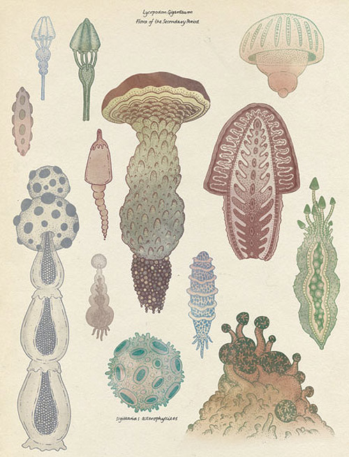 Illustrator Katie Scott