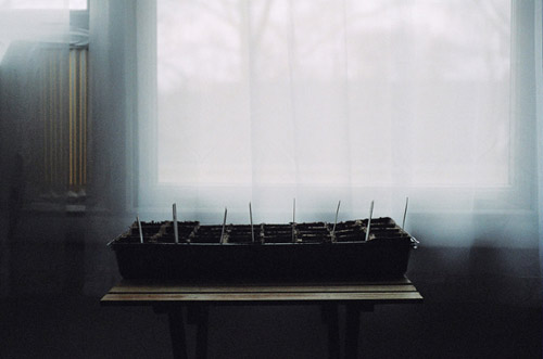Photographer Youngna Park photography