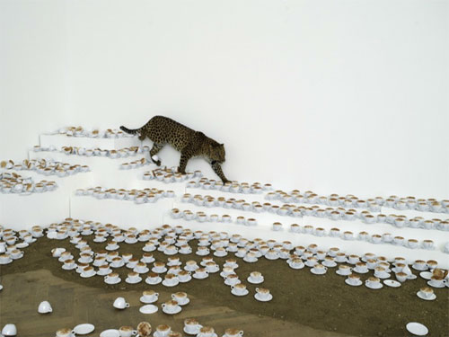 Artist Paola Pivi