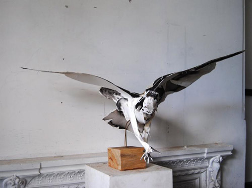 Paper sculptures by artist Anna-Wili Highfield