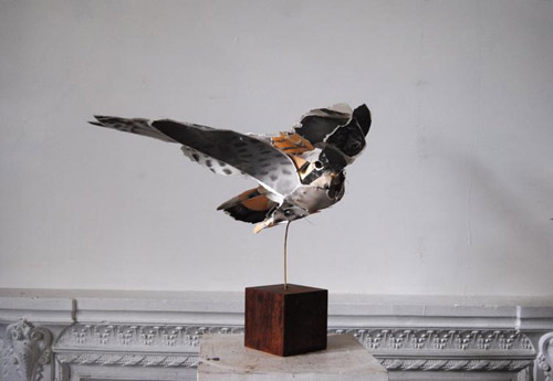 Paper sculptures by artist Anna-Wili Highfield