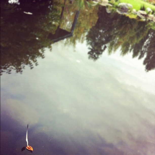 @sandy_bau sent me this from Granville Island. "Little Drifters" lives on.