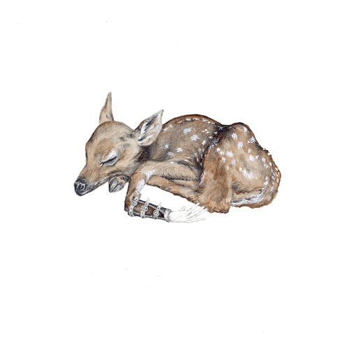 rachel goodyear drawing illustration artist