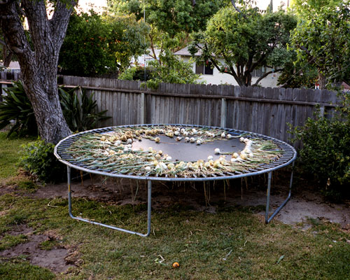 alexander martinez photographer photography