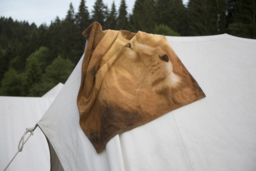 christina maria oswald photography photographer