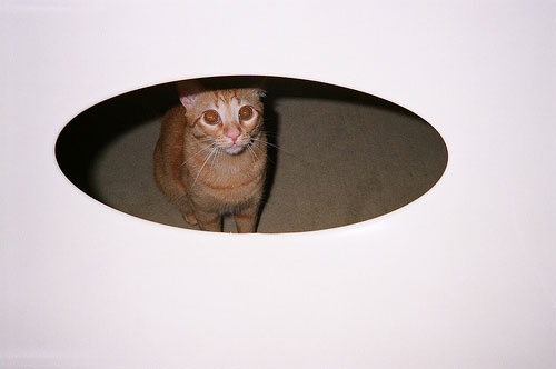 clara canepa photographer photography