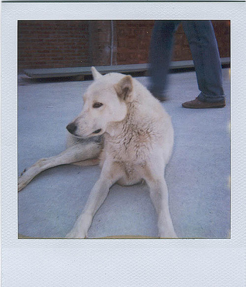 clara canepa photographer photography