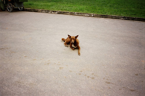 clara canepa photographer photography