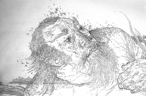 destroy rockcity lee misenheimer illustration drawing illustrator