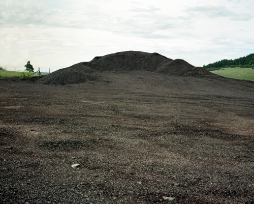 grant willing photographer photography