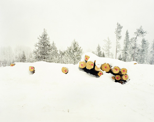 grant willing photographer photography