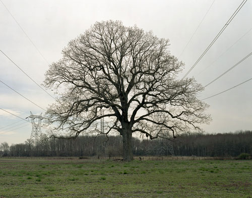 justin james reed photography photographer