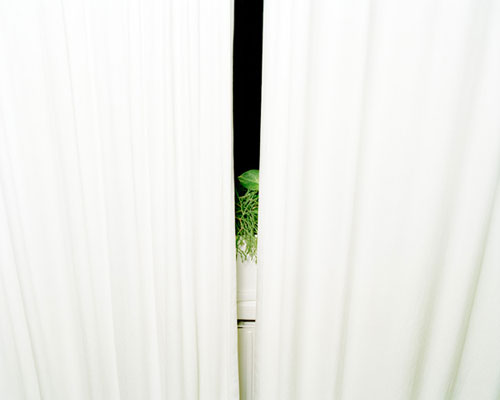 jesper ulvelius photographer photography