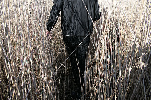 jessica williams photography photographer