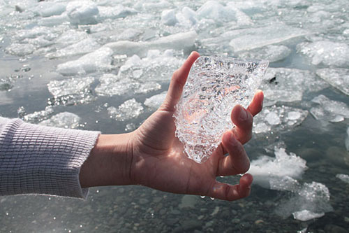 jessica williams photography photographer