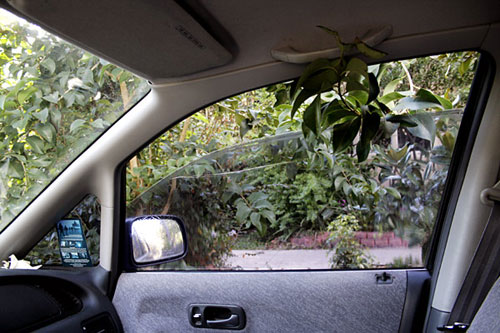 jessica williams photography photographer