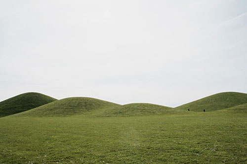 jessica williams photography photographer