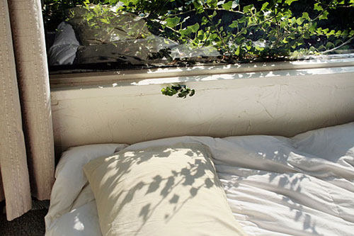 jessica williams photography photographer