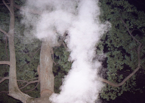 junichi sakamoto photographer photography